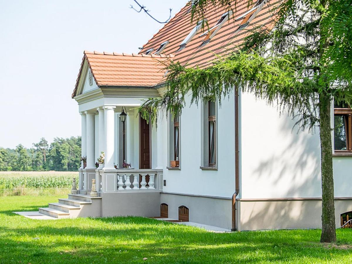 Dwor Gogolewo Nad Warta Bed & Breakfast Ksiaz Wielkopolski ภายนอก รูปภาพ