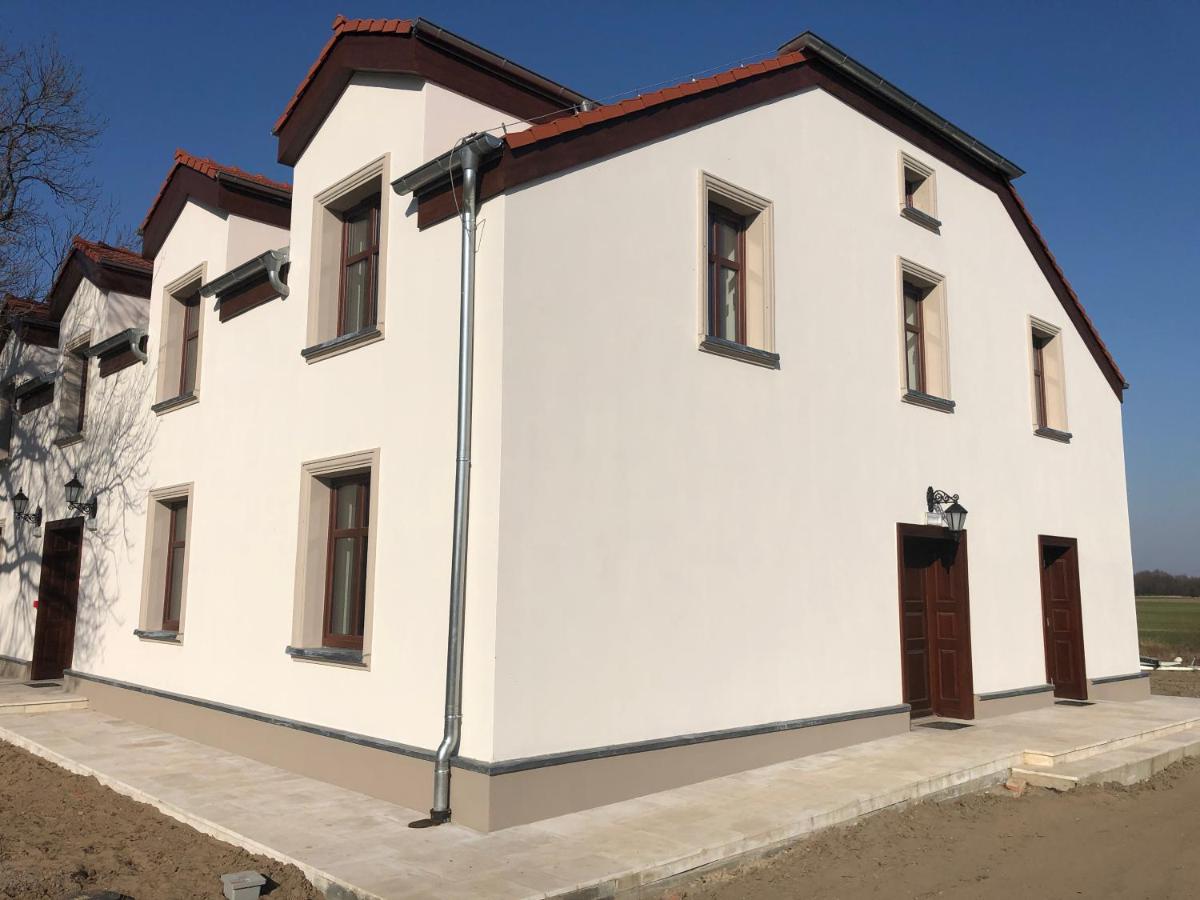 Dwor Gogolewo Nad Warta Bed & Breakfast Ksiaz Wielkopolski ภายนอก รูปภาพ